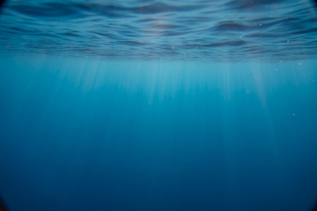 Experience the Freedom of Underwater Photography